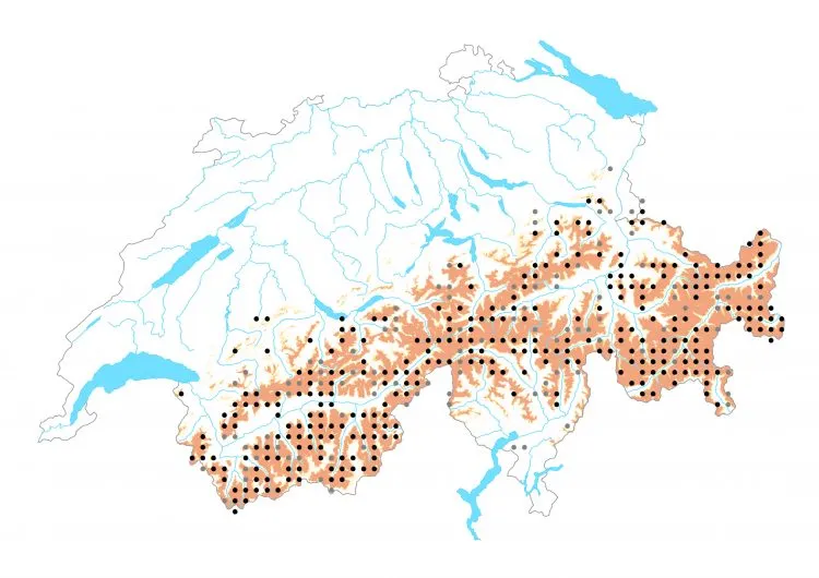 Carte de distribution: Zygène des sommets &mdash; Zygaena exulans