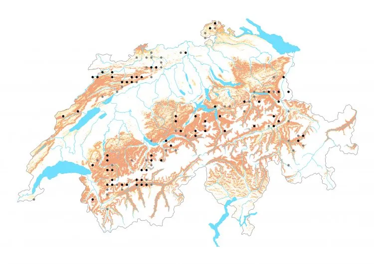 Carte de distribution: Zygène de la petite coronille — Zygaena fausta