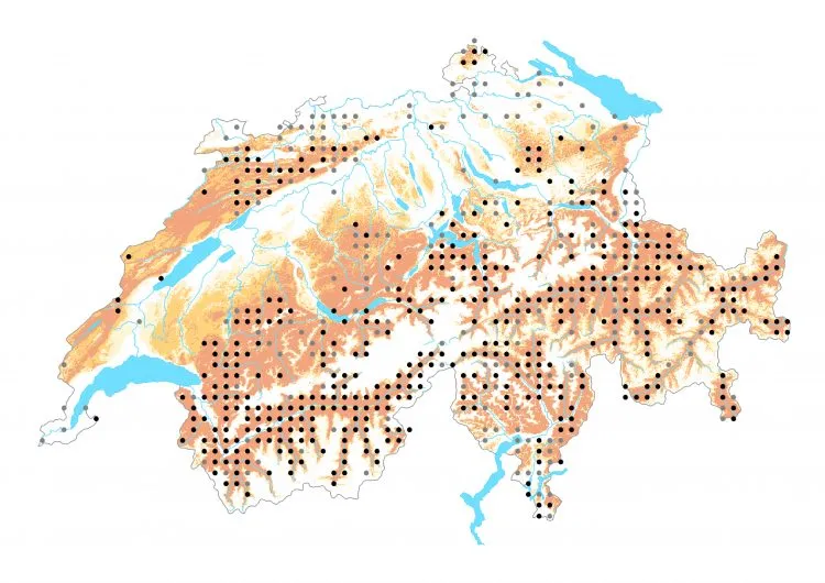 Carte de distribution: Zygène du chèvrefeuille &mdash; Zygaena lonicerae