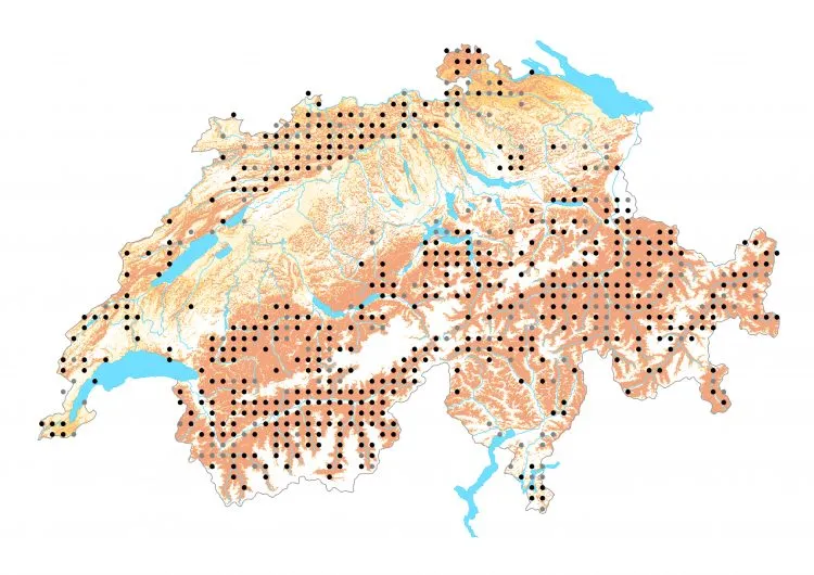 Carte de distribution: Zygène du lotier &mdash; Zygaena loti