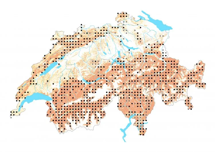 Carte de distribution: Zygène transalpine — Zygaena transalpina