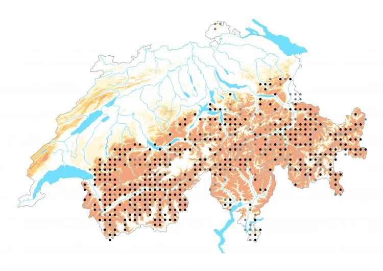 Carte de distribution: Plain-chant &mdash; Pyrgus alveus