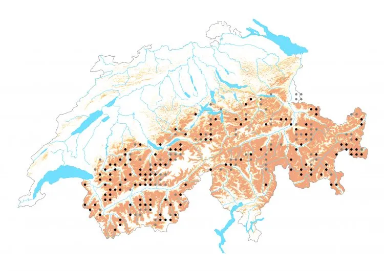 Carte de distribution: Hespérie de Wallengren &mdash; Pyrgus andromedae