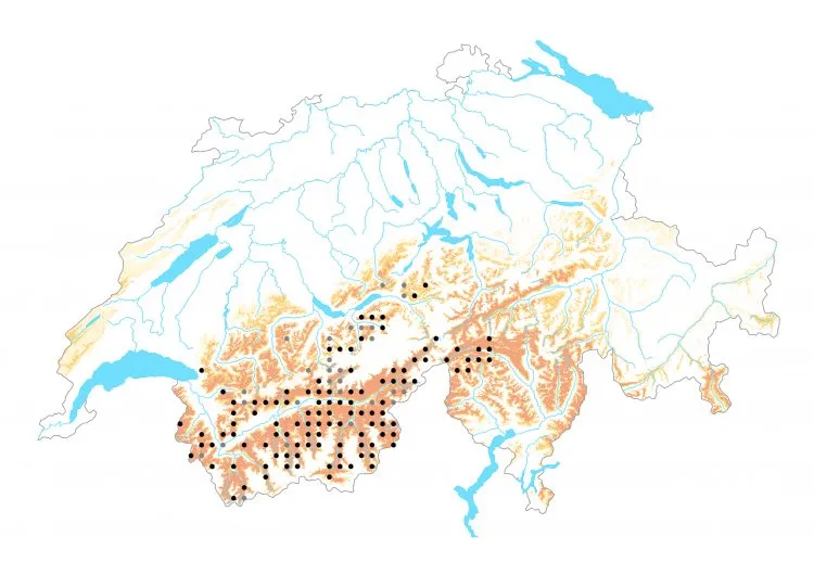 Carte de distribution: Hespérie de la parcinière &mdash; Pyrgus carlinae