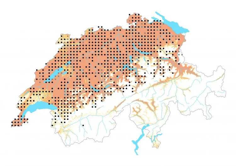 Carte de distribution: Hespérie de la mauve — Pyrgus malvae