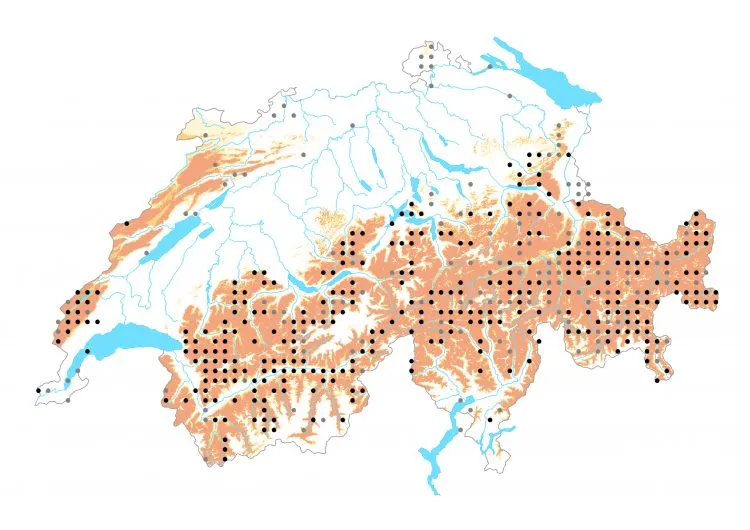 Carte de distribution: Hespérie de l&rsquo;alchémille &mdash; Pyrgus serratulae