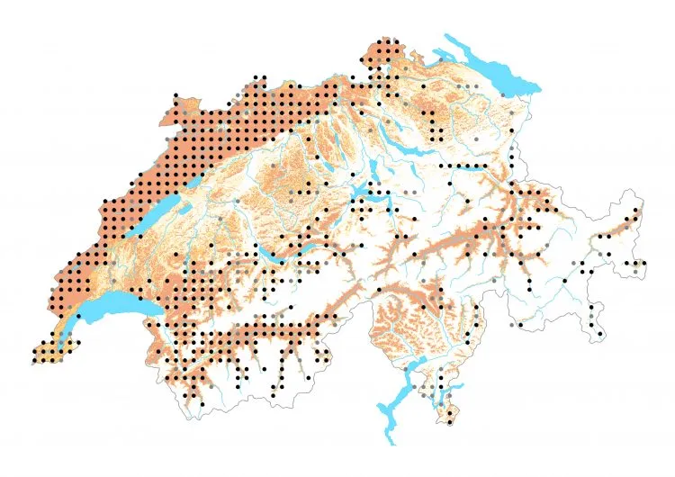 Carte de distribution: Hespérie des sanguisorbes &mdash; Spialia sertorius