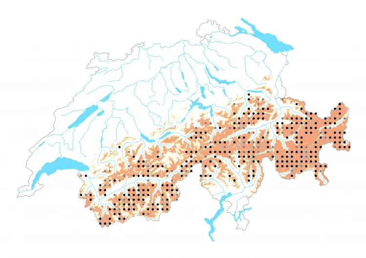 Carte de distribution: Petit Apollon — Parnassius phoebus
