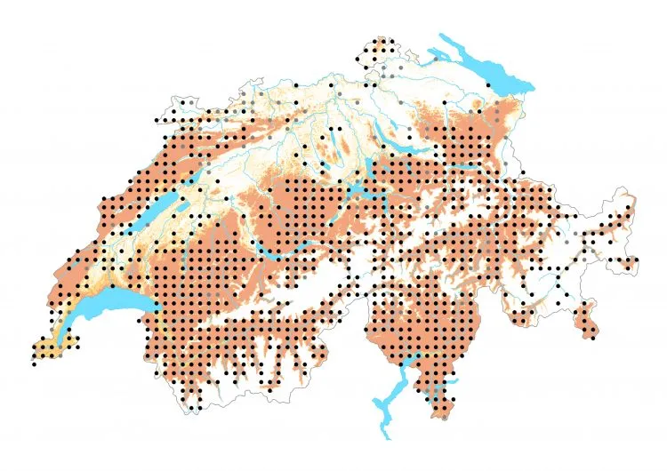 Carte de distribution: Gazé — Aporia crataegi