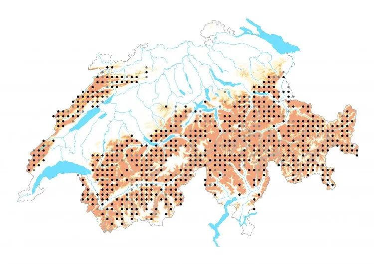 Carte de distribution: Piéride de l’arabette — Pieris bryoniae