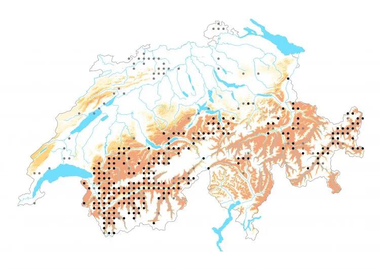 Carte de distribution: Azuré du sainfoin &mdash; Polyommatus damon