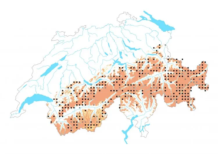 Carte de distribution: Azuré de la phaque &mdash; Agriades orbitulus