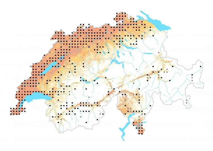 Carte de distribution: Collier de corail &mdash; Aricia agestis