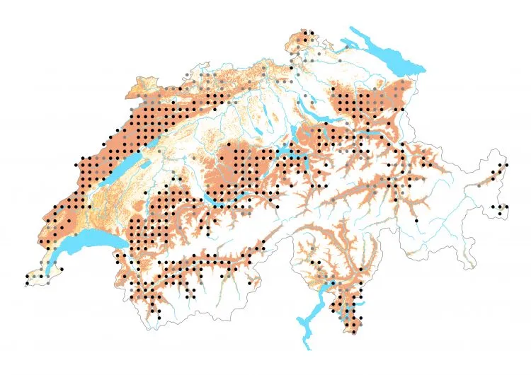 Carte de distribution: Lucine — Hamearis lucina