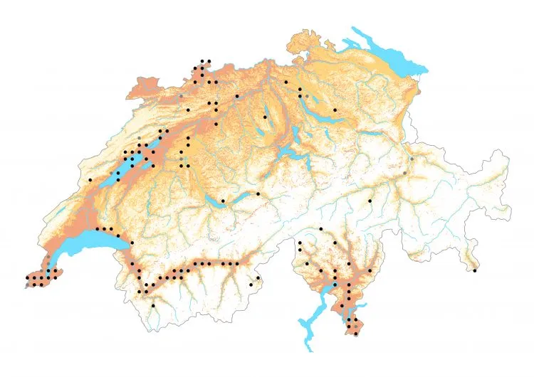 Carte de distribution: Azuré porte-queue — Lampides boeticus