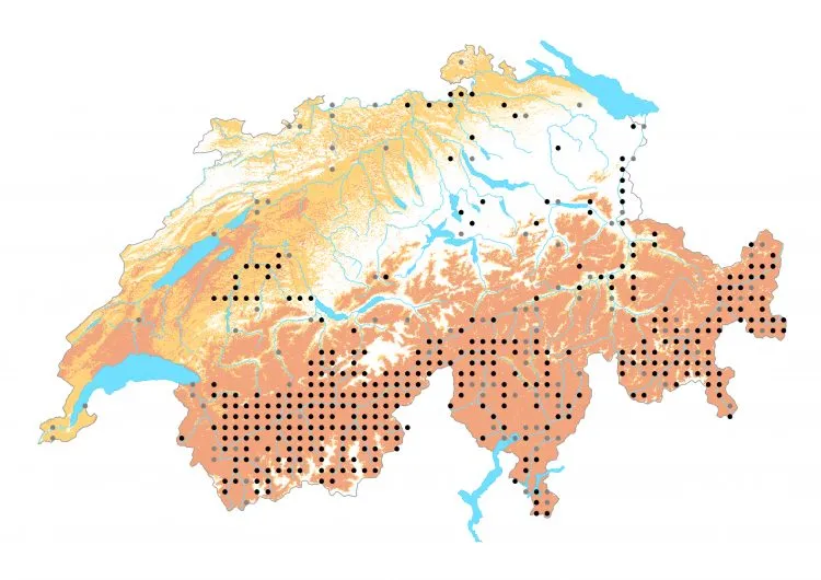 Carte de distribution: Azuré du genêt &mdash; Plebejus idas