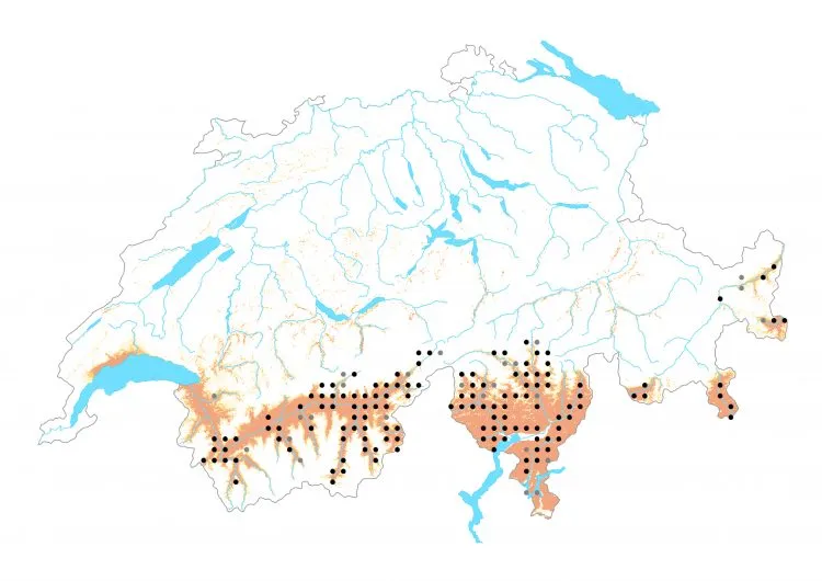 Carte de distribution: Cuivré flamboyant &mdash; Lycaena alciphron