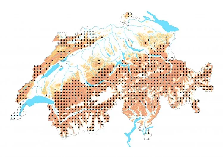 Carte de distribution: Azuré du serpolet — Phengaris arion
