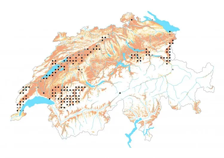 Carte de distribution: Azuré des paluds — Phengaris nausithous