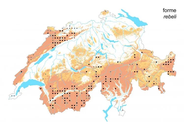 Carte de distribution: Azuré des mouillères — Phengaris alcon