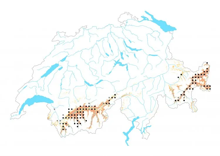 Carte de distribution: Azuré de la jarosse &mdash; Polyommatus amandus
