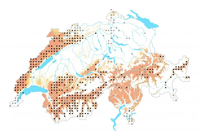 Carte de distribution: Azuré du mélilot &mdash; Polyommatus dorylas