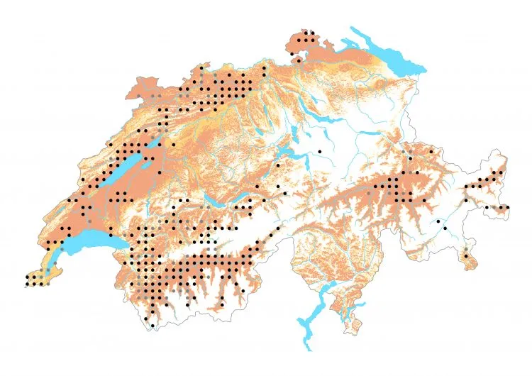 Carte de distribution: Azuré de l&rsquo;esparcette &mdash; Polyommatus thersites
