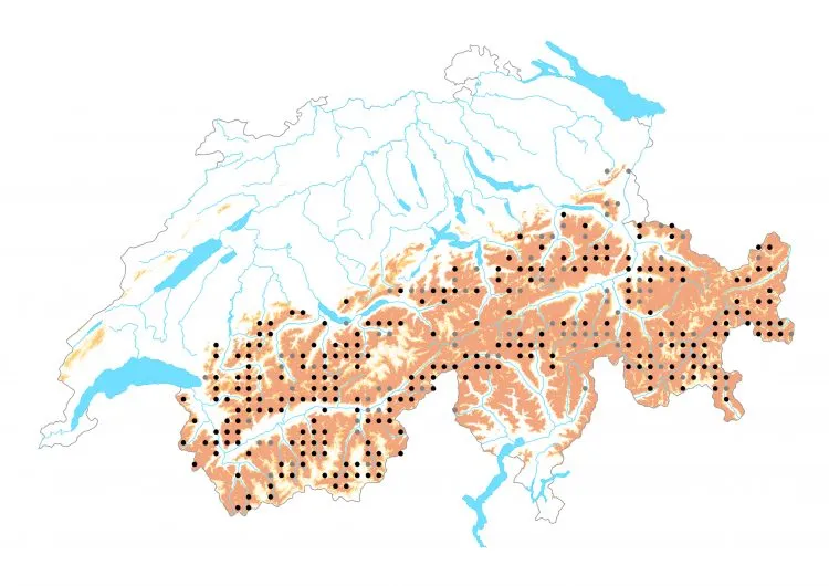 Carte de distribution: Azuré de l&rsquo;oxytropide &mdash; Polyommatus eros