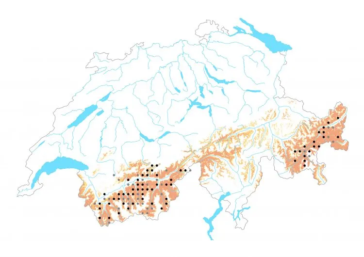 Carte de distribution: Azuré des géraniums &mdash; Aricia nicias