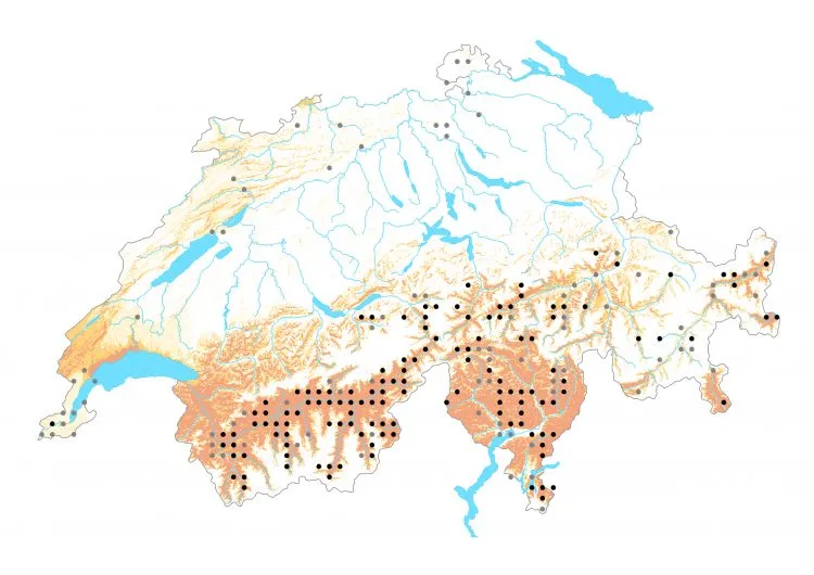 Carte de distribution: Azuré de la sarriette &mdash; Pseudophilotes baton