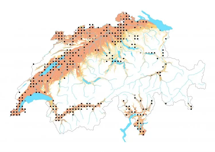 Carte de distribution: Thécla du chêne — Favonius quercus