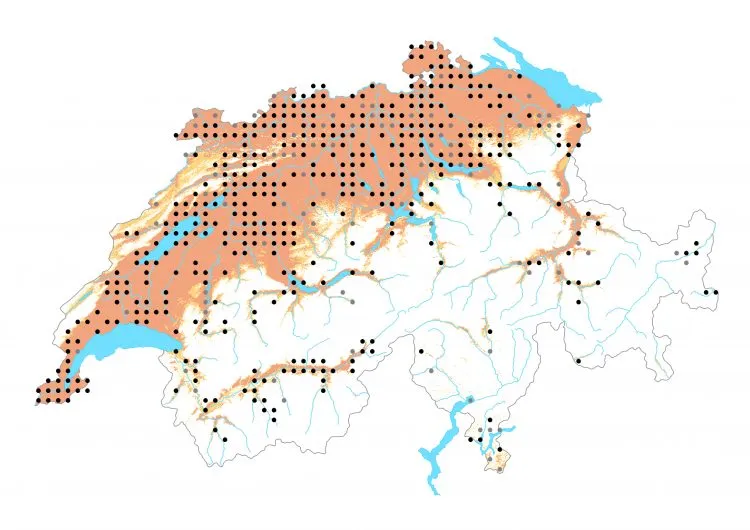Carte de distribution: Thécla du bouleau — Thecla betulae