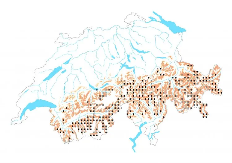 Carte de distribution: Azuré de la canneberge &mdash; Agriades optilete