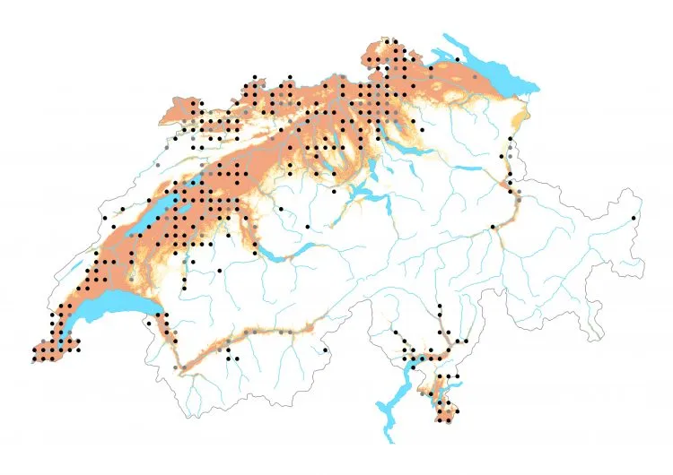 Carte de distribution: Petit Mars changeant &mdash; Apatura ilia