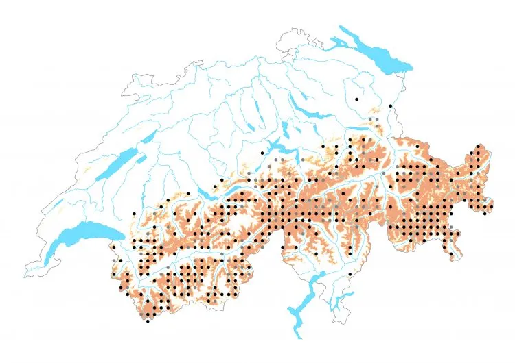 Carte de distribution: Nacré des renouées &mdash; Boloria napaea