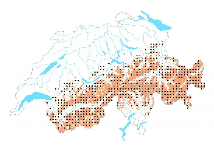 Carte de distribution: Nacré subalpin &mdash; Boloria pales