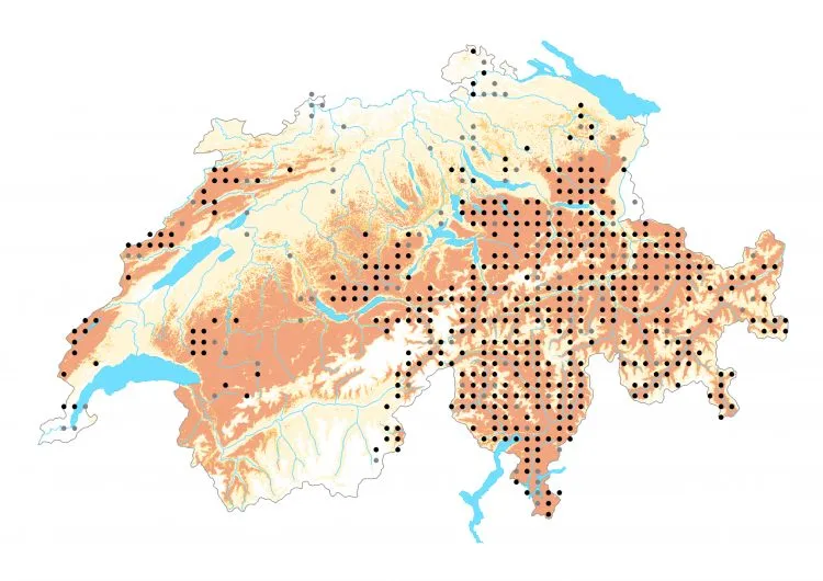 Carte de distribution: Petit Collier argenté &mdash; Boloria selene