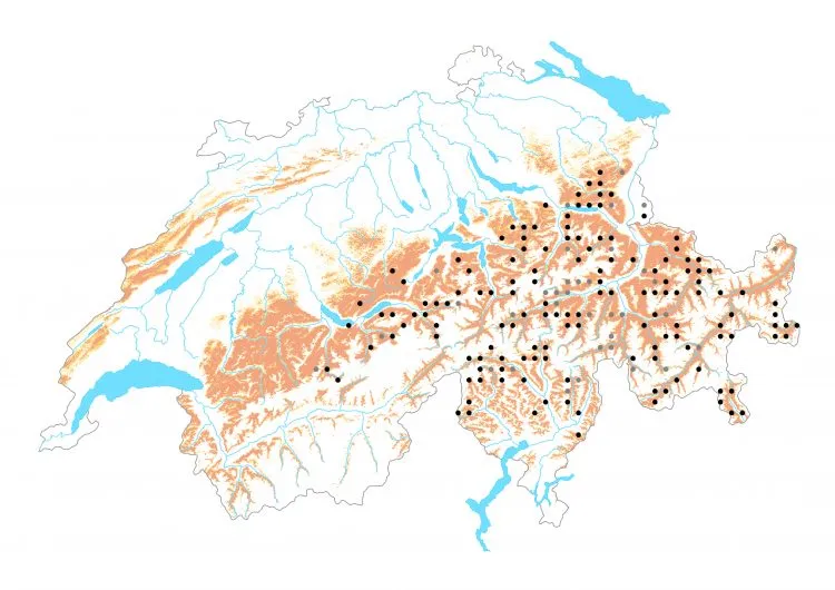 Carte de distribution: Nacré noirâtre &mdash; Boloria thore