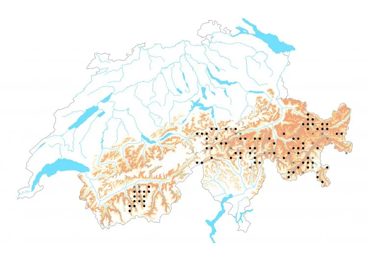 Carte de distribution: Damier du chèvrefeuille &mdash; Euphydryas intermedia