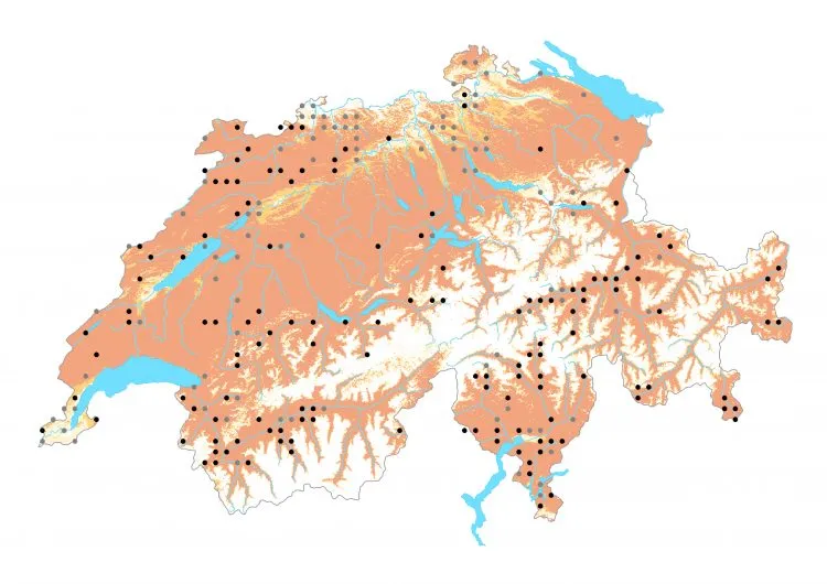 Carte de distribution: Grand Sylvain &mdash; Limenitis populi