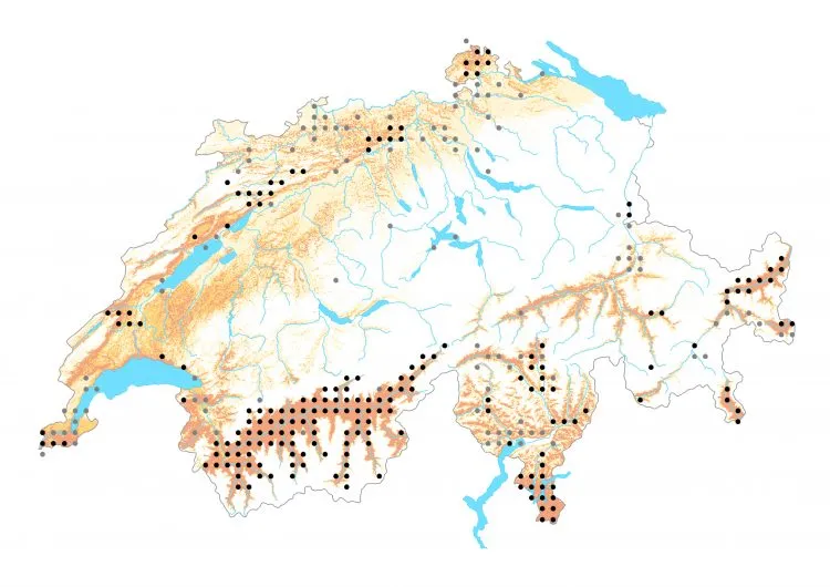 Carte de distribution: Mélitée orangée &mdash; Melitaea didyma