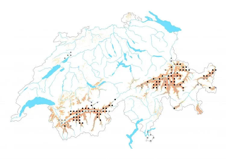 Carte de distribution: Mélitée des digitales — Melitaea aurelia