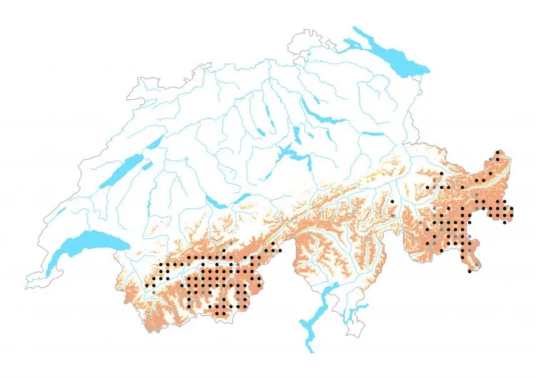 Carte de distribution: Mélitée de la gentiane &mdash; Melitaea varia