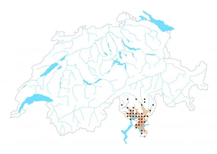 Carte de distribution: Sylvain des spirées &mdash; Neptis rivularis