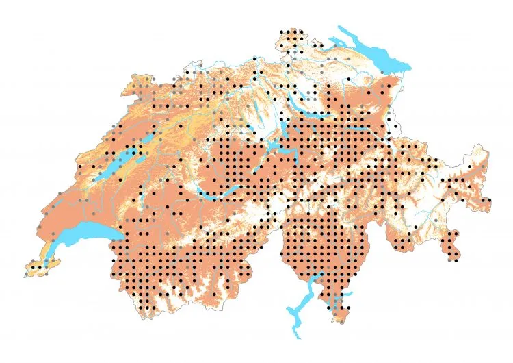 Carte de distribution: Morio — Nymphalis antiopa