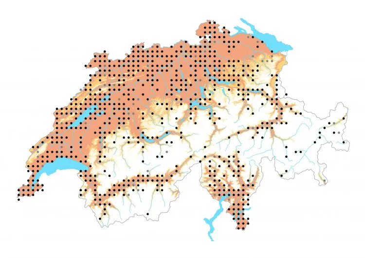 Carte de distribution: Grande Tortue — Nymphalis polychloros