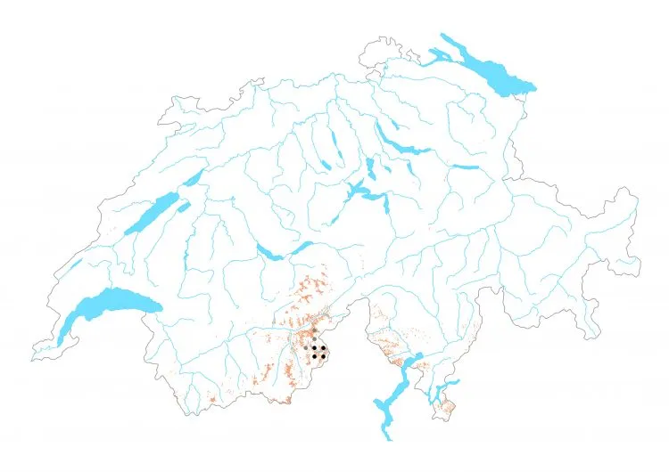 Carte de distribution: Moiré du Simplon &mdash; Erebia christi