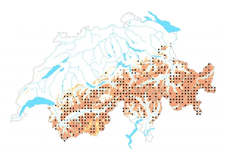Carte de distribution: Moiré de la canche &mdash; Erebia epiphron