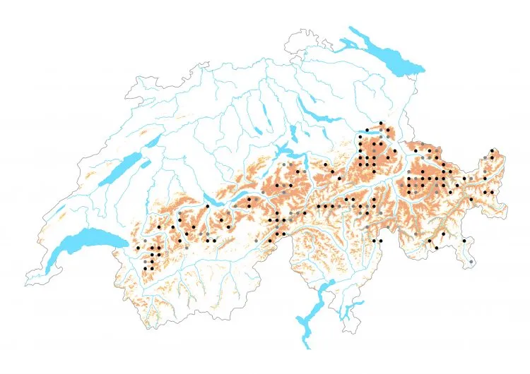Carte de distribution: Moiré savoyard &mdash; Erebia eriphyle