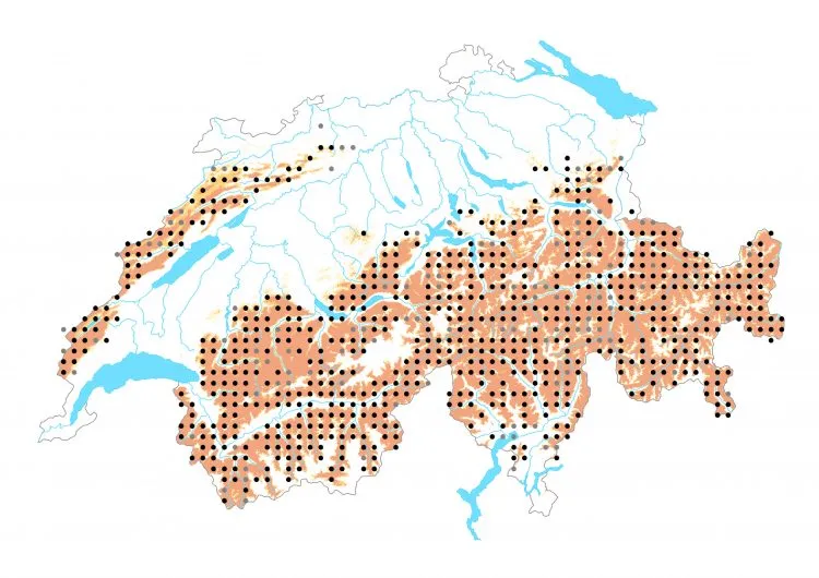Carte de distribution: Moiré frange-pie &mdash; Erebia euryale